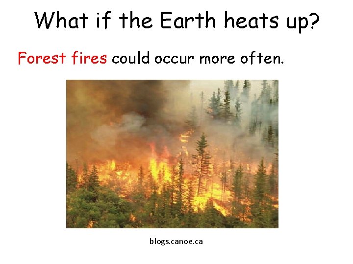 What if the Earth heats up? Forest fires could occur more often. blogs. canoe.