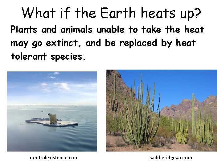 What if the Earth heats up? Plants and animals unable to take the heat