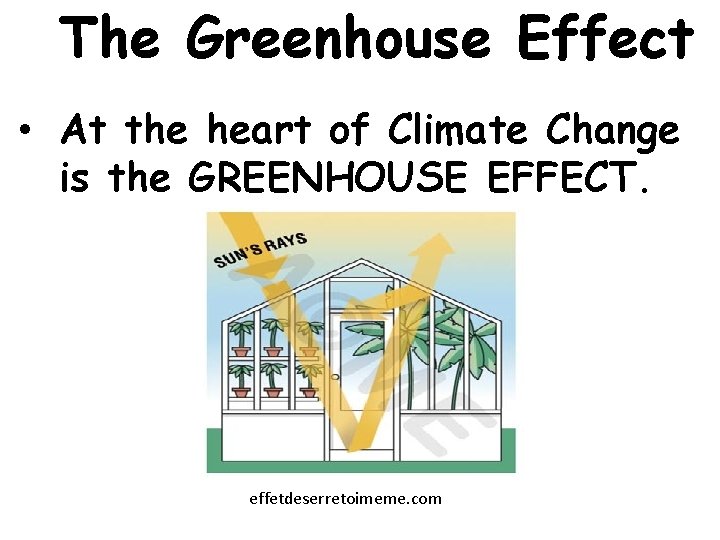 The Greenhouse Effect • At the heart of Climate Change is the GREENHOUSE EFFECT.