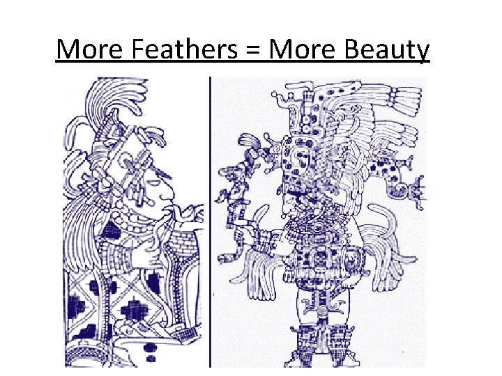 More Feathers = More Beauty 