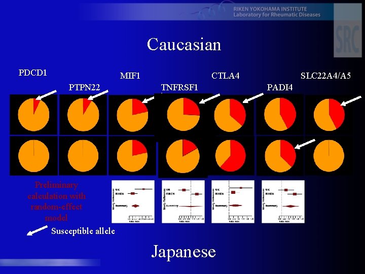 Caucasian PDCD 1 MIF 1 PTPN 22 CTLA 4 TNFRSF 1 Preliminary calculation with