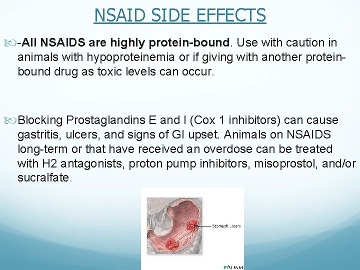 NSAID SIDE EFFECTS -All NSAIDS are highly protein-bound. Use with caution in animals with