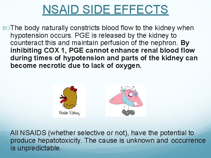 NSAID SIDE EFFECTS The body naturally constricts blood flow to the kidney when hypotension