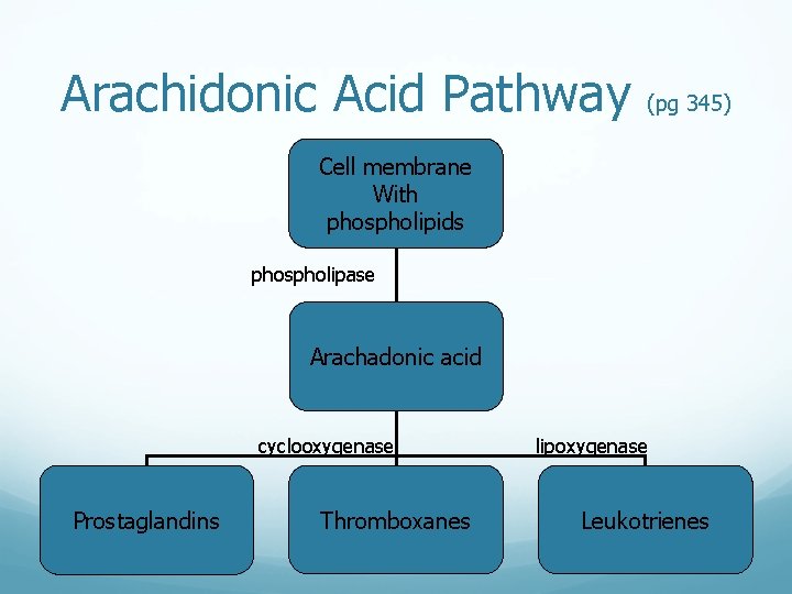 Arachidonic Acid Pathway (pg 345) Cell membrane With phospholipids phospholipase Arachadonic acid cyclooxygenase Prostaglandins