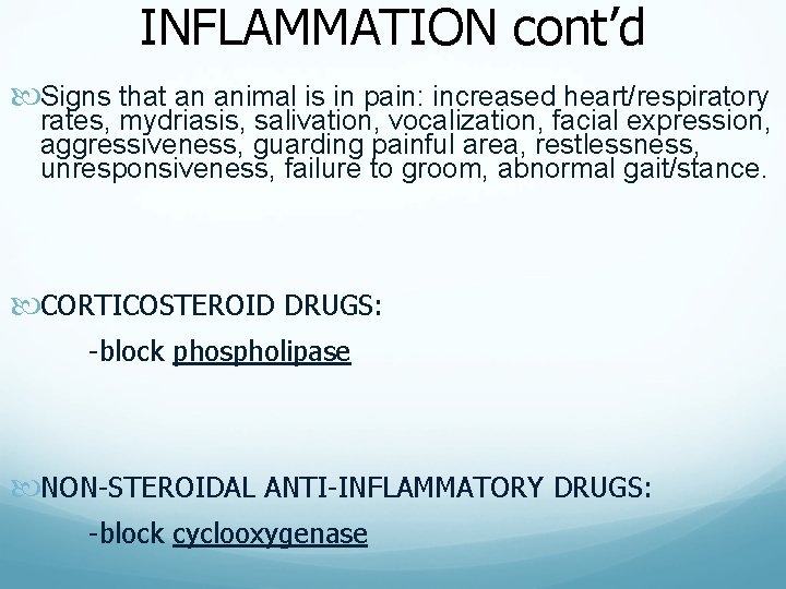 INFLAMMATION cont’d Signs that an animal is in pain: increased heart/respiratory rates, mydriasis, salivation,