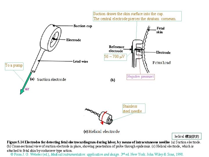 Suction draws the skin surface into the cup. The central electrode pierces the stratum