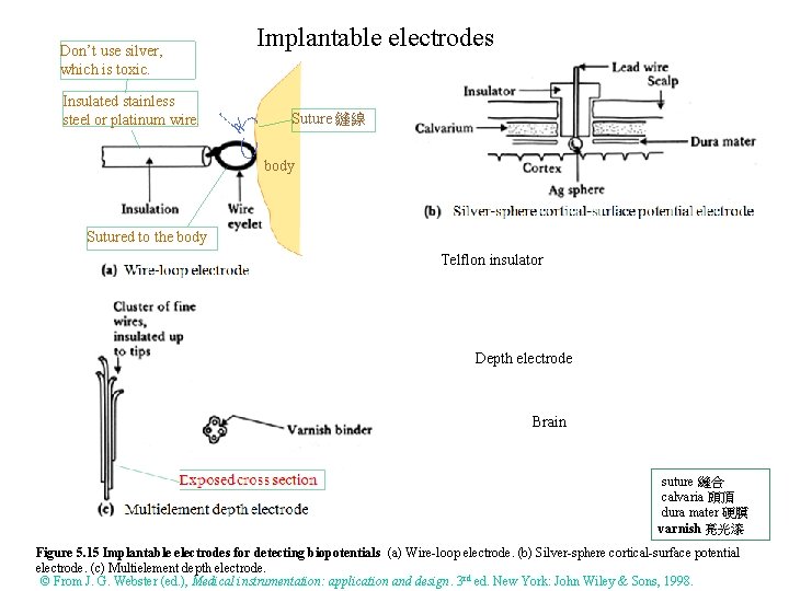 Don’t use silver, which is toxic. Insulated stainless steel or platinum wire. Implantable electrodes