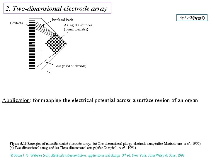 2. Two-dimensional electrode array Insulated leads Ag/Ag. Cl electrodes (1 -mm diameter) Contacts rigid