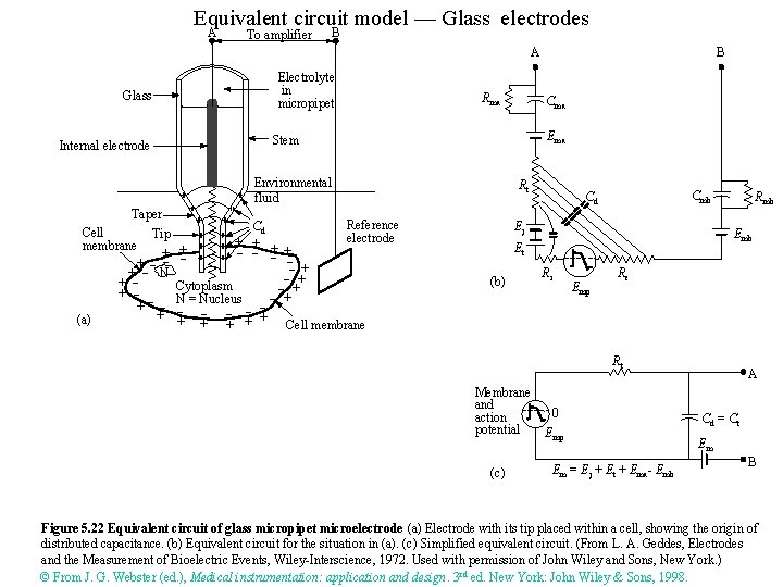 Equivalent circuit model — Glass electrodes A To amplifier B A Glass Internal electrode