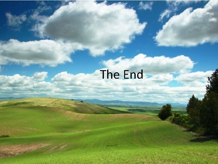 The End 