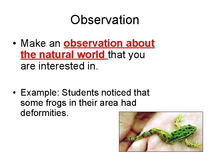 Observation • Make an observation about the natural world that you are interested in.