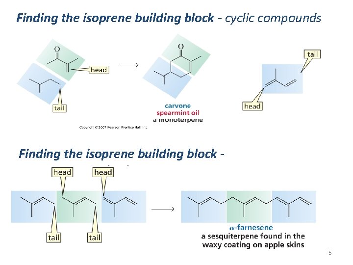 Finding the isoprene building block - cyclic compounds Finding the isoprene building block sesquiterpenes