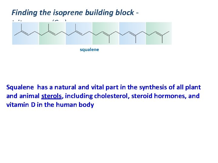 Finding the isoprene building block triterpenes (C 30) - Squalene has a natural and