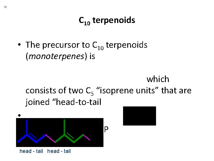” C 10 terpenoids • The precursor to C 10 terpenoids (monoterpenes) is Geranyl