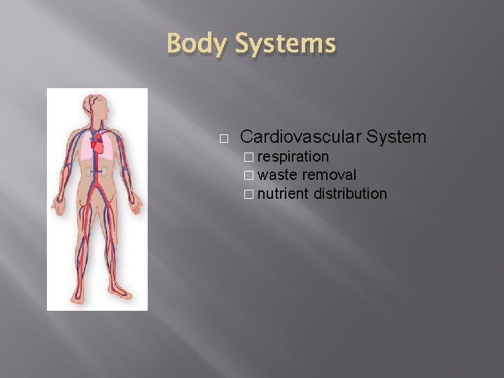 Body Systems � Cardiovascular System � respiration � waste removal � nutrient distribution 