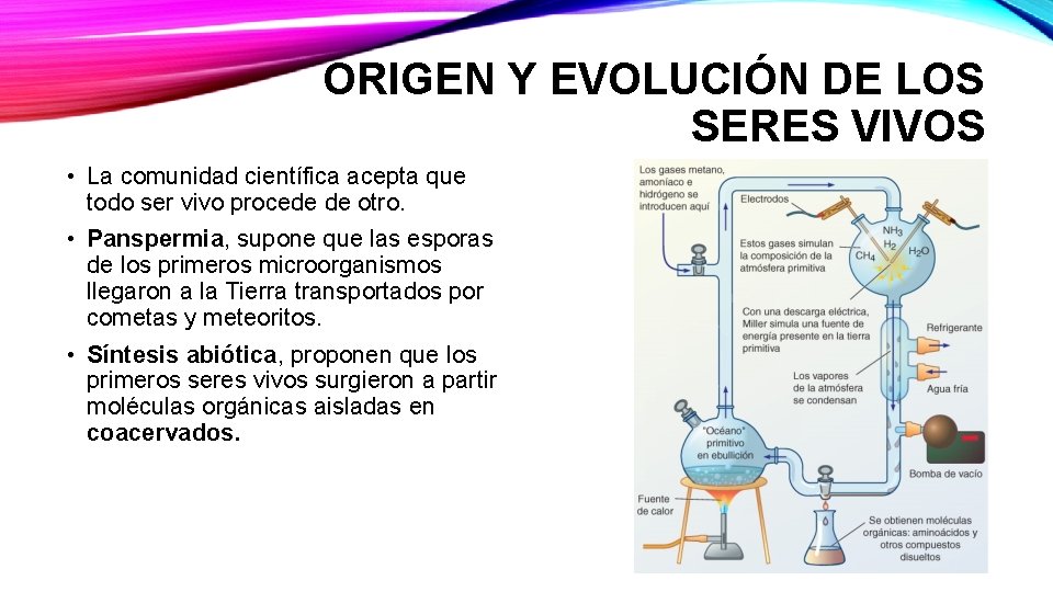 ORIGEN Y EVOLUCIÓN DE LOS SERES VIVOS • La comunidad científica acepta que todo