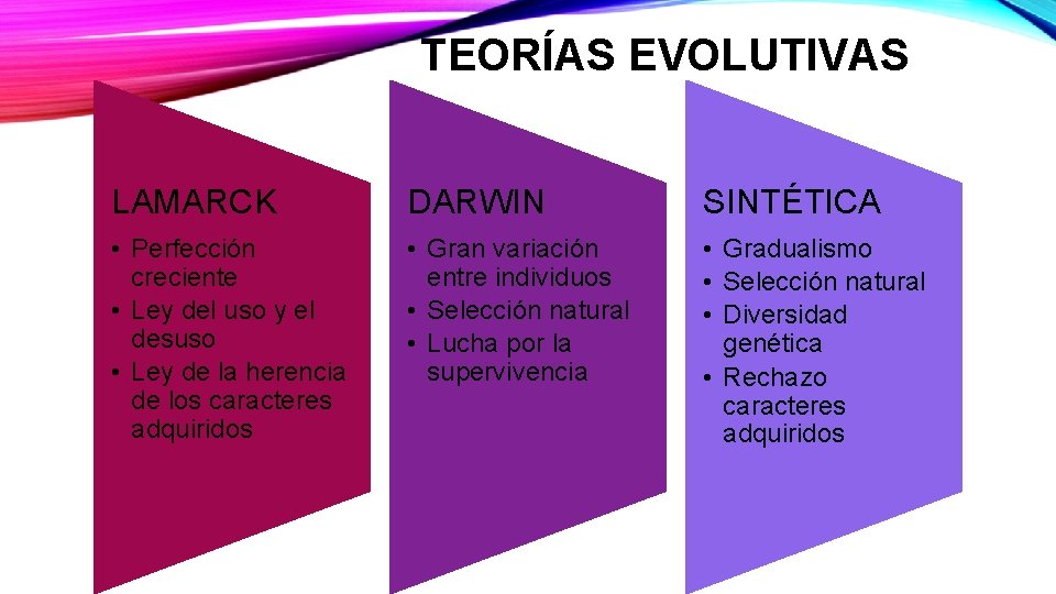 TEORÍAS EVOLUTIVAS LAMARCK DARWIN SINTÉTICA • Perfección creciente • Ley del uso y el