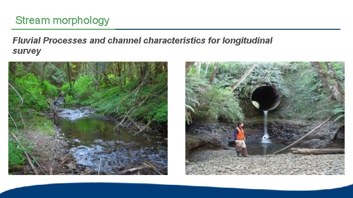 Stream morphology Fluvial Processes and channel characteristics for longitudinal survey  Stream morphology Fluvial Processes and channel characteristics for longitudinal survey