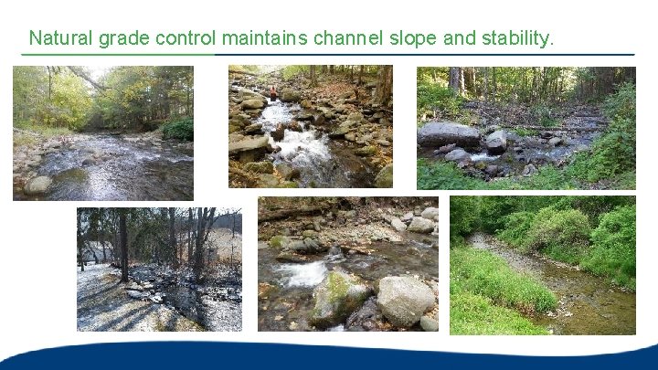 Natural grade control maintains channel slope and stability.  Natural grade control maintains channel slope and stability.