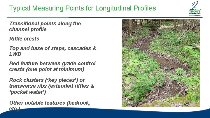 Typical Measuring Points for Longitudinal Profiles Transitional points along the channel profile Riffle crests Typical Measuring Points for Longitudinal Profiles Transitional points along the channel profile Riffle crests