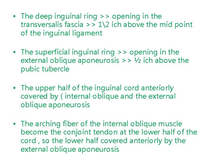  • The deep inguinal ring >> opening in the transversalis fascia >> 12