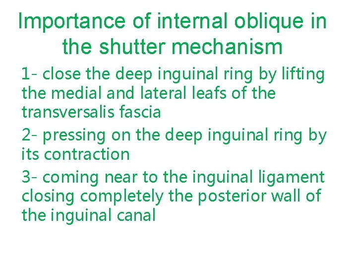 Importance of internal oblique in the shutter mechanism 1 - close the deep inguinal