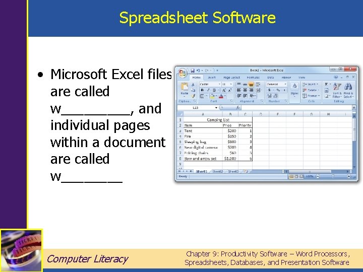 Spreadsheet Software • Microsoft Excel files are called w_____, and individual pages within a