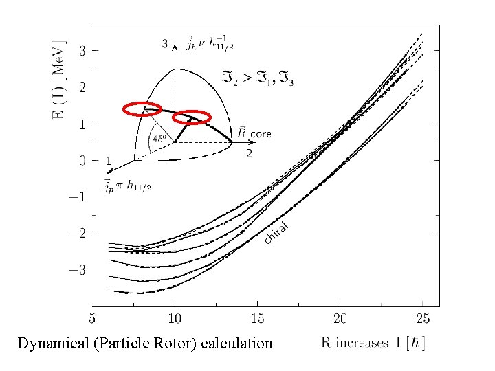 Dynamical (Particle Rotor) calculation 