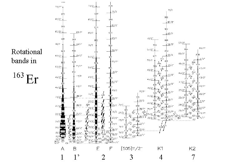 Rotational bands in 1 1’ 2 3 4 7 