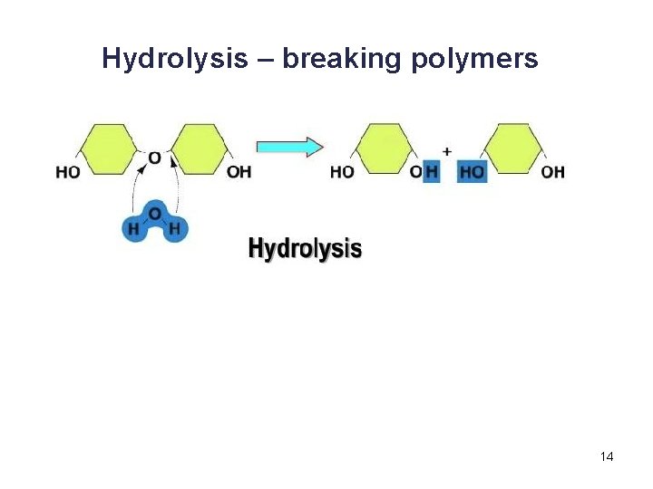 Hydrolysis – breaking polymers 14 
