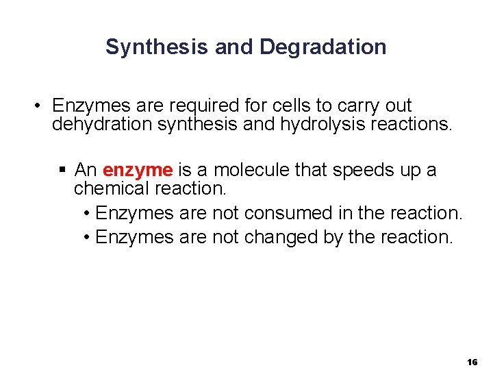 Synthesis and Degradation • Enzymes are required for cells to carry out dehydration synthesis