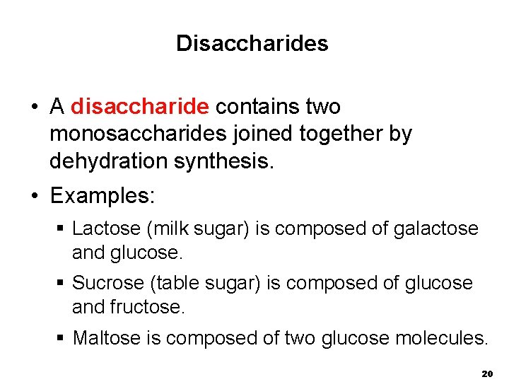 Disaccharides • A disaccharide contains two monosaccharides joined together by dehydration synthesis. • Examples: