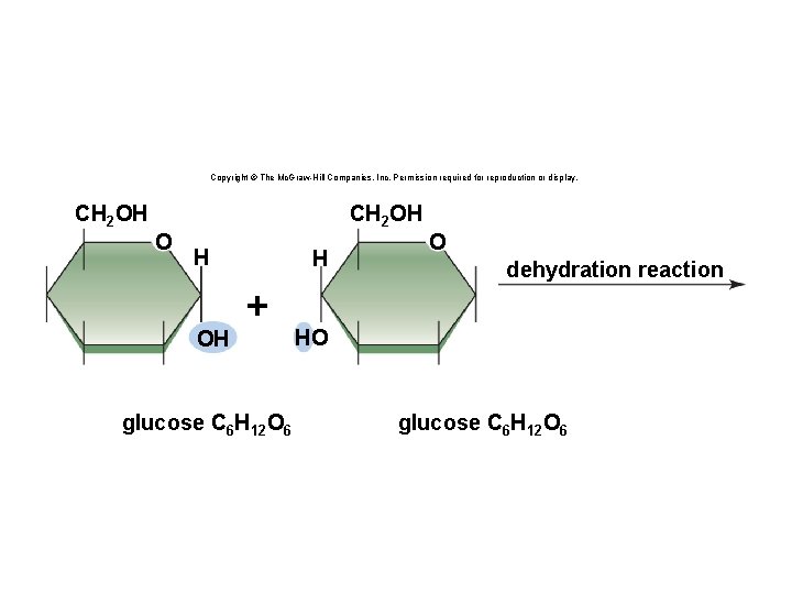 Copyright © The Mc. Graw-Hill Companies, Inc. Permission required for reproduction or display. CH