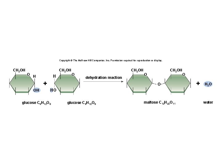 Copyright © The Mc. Graw-Hill Companies, Inc. Permission required for reproduction or display. CH
