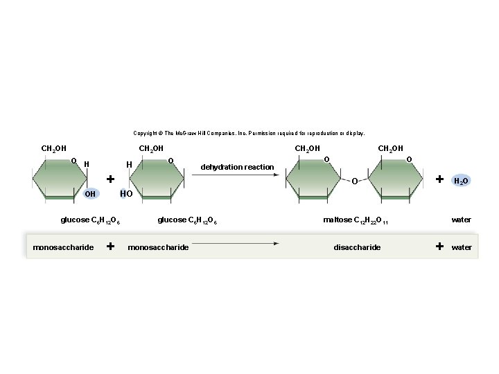 Copyright © The Mc. Graw-Hill Companies, Inc. Permission required for reproduction or display. CH