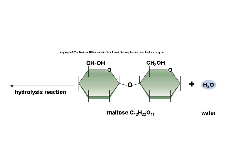 Copyright © The Mc. Graw-Hill Companies, Inc. Permission required for reproduction or display. CH