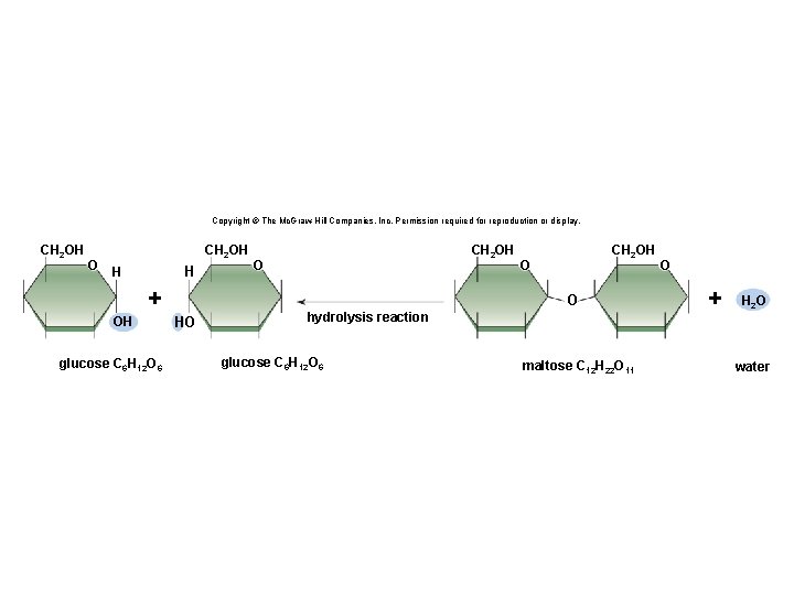 Copyright © The Mc. Graw-Hill Companies, Inc. Permission required for reproduction or display. CH
