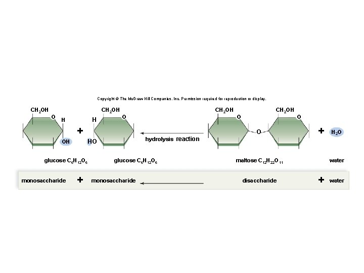 Copyright © The Mc. Graw-Hill Companies, Inc. Permission required for reproduction or display. CH