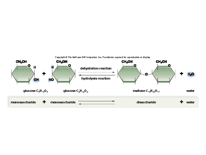 Copyright © The Mc. Graw-Hill Companies, Inc. Permission required for reproduction or display. dehydration