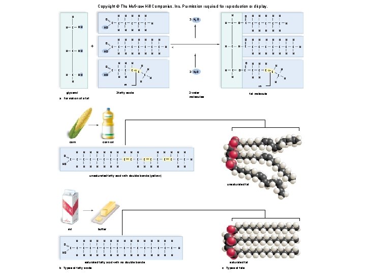Copyright © The Mc. Graw-Hill Companies, Inc. Permission required for reproduction or display. H