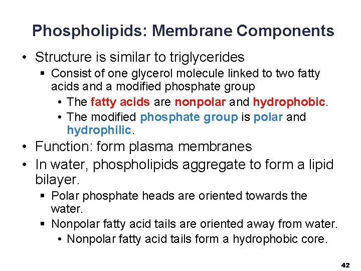 Phospholipids: Membrane Components • Structure is similar to triglycerides § Consist of one glycerol