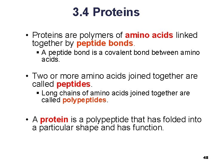 3. 4 Proteins • Proteins are polymers of amino acids linked together by peptide