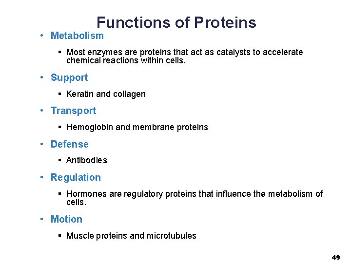 Functions of Proteins • Metabolism § Most enzymes are proteins that act as catalysts