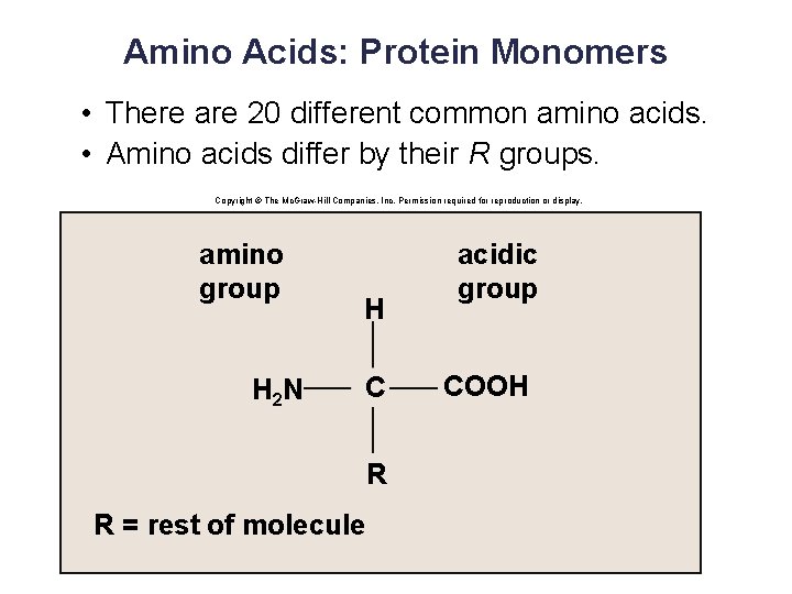 Amino Acids: Protein Monomers • There are 20 different common amino acids. • Amino