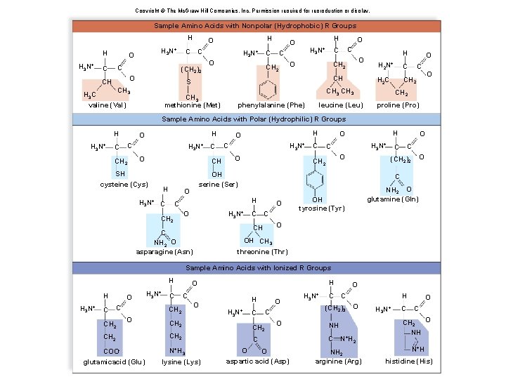 Copyright © The Mc. Graw-Hill Companies, Inc. Permission required for reproduction or display. Sample