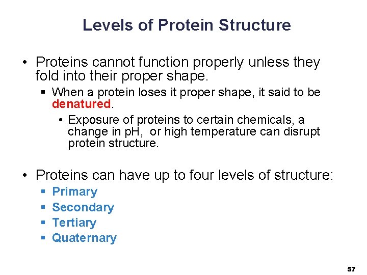Levels of Protein Structure • Proteins cannot function properly unless they fold into their