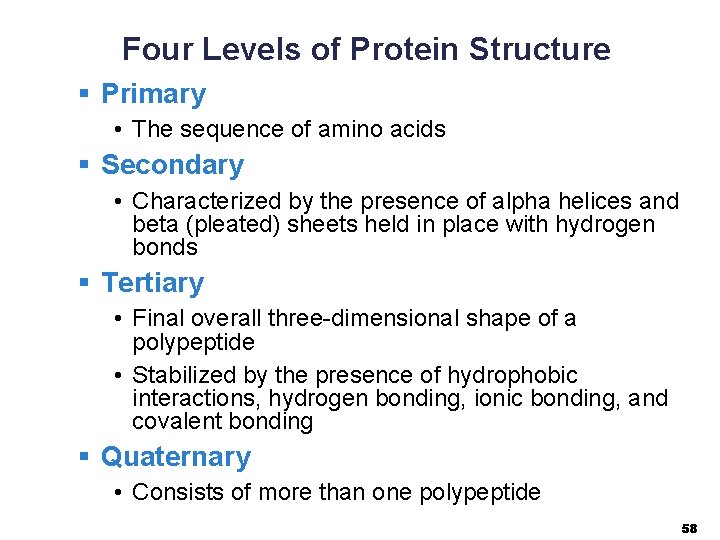 Four Levels of Protein Structure § Primary • The sequence of amino acids §