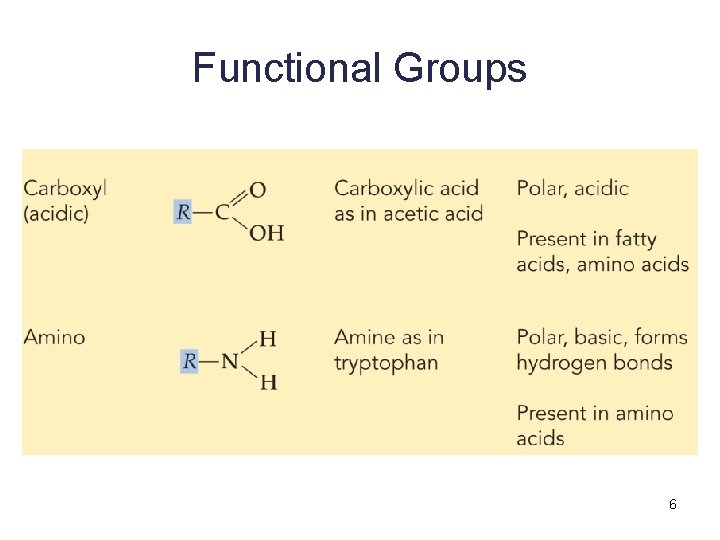 Functional Groups 6 