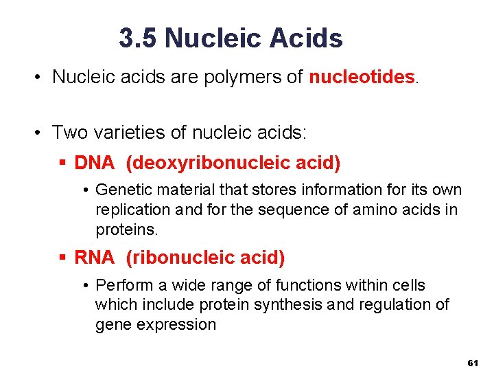3. 5 Nucleic Acids • Nucleic acids are polymers of nucleotides. • Two varieties