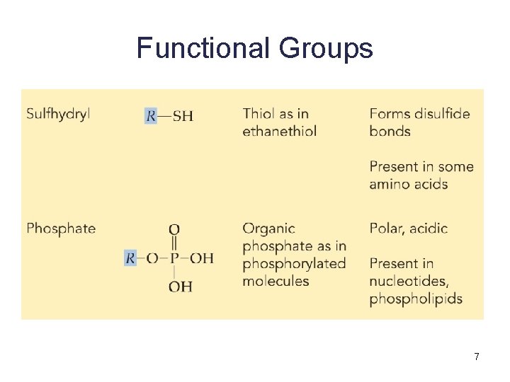 Functional Groups 7 